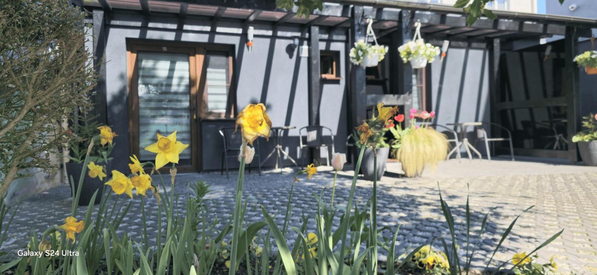 Unibal Domki 2 Osobowe Mielno  Exterior foto